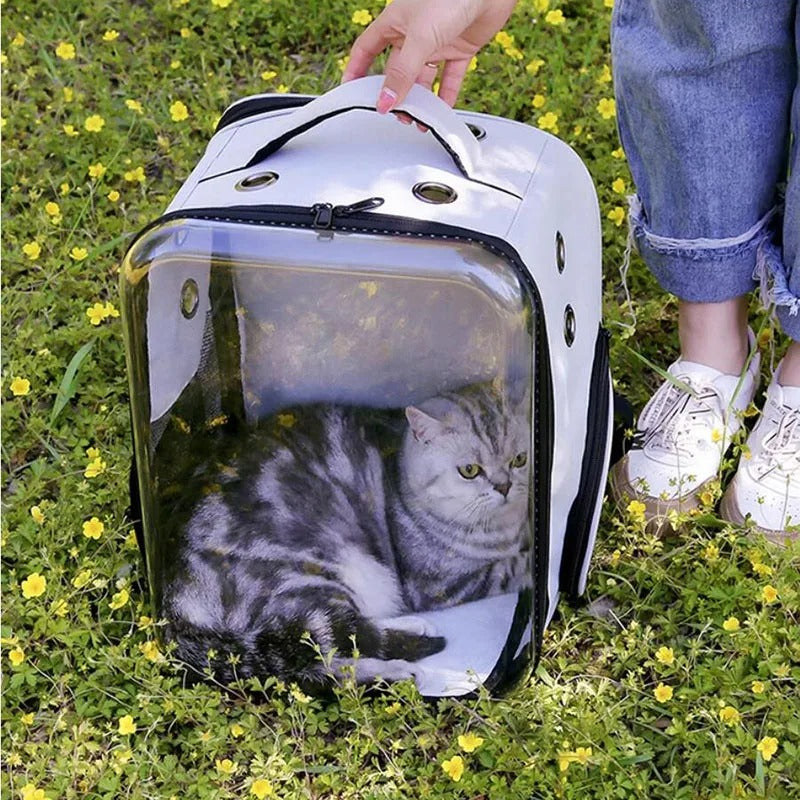 Paws Delight Space Explorer: The Ultimate Foldable Pet Backpack