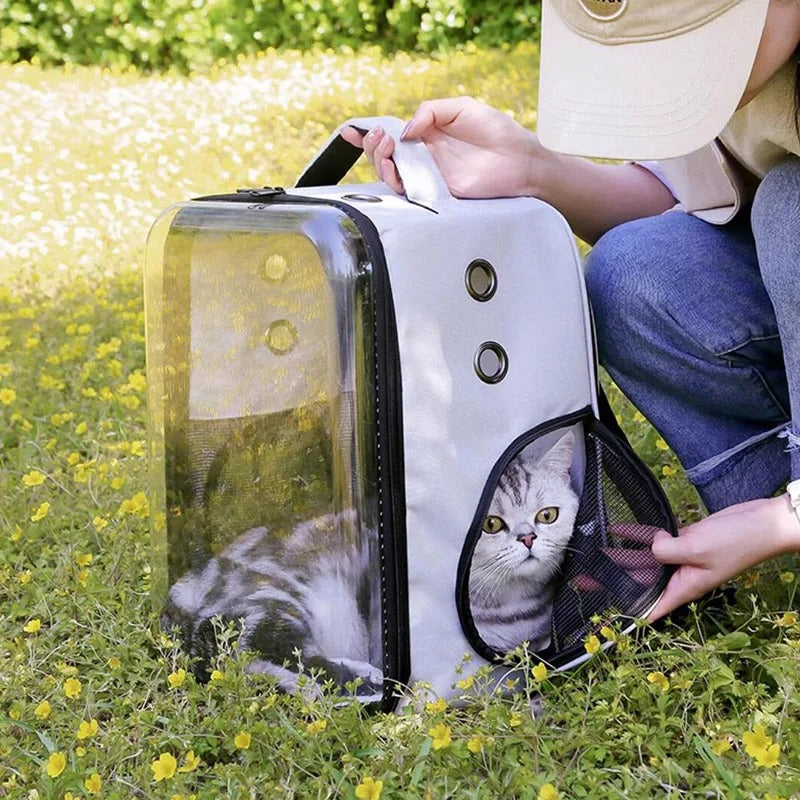 Paws Delight Space Explorer: The Ultimate Foldable Pet Backpack